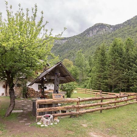 Villa Lizina Hiska House Bohinj Bohinjska Bistrica Exterior foto