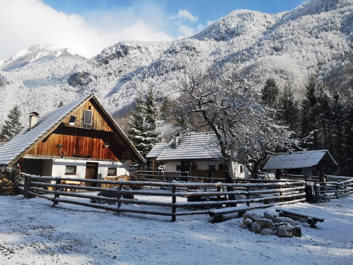 Villa Lizina Hiska House Bohinj Bohinjska Bistrica Exterior foto