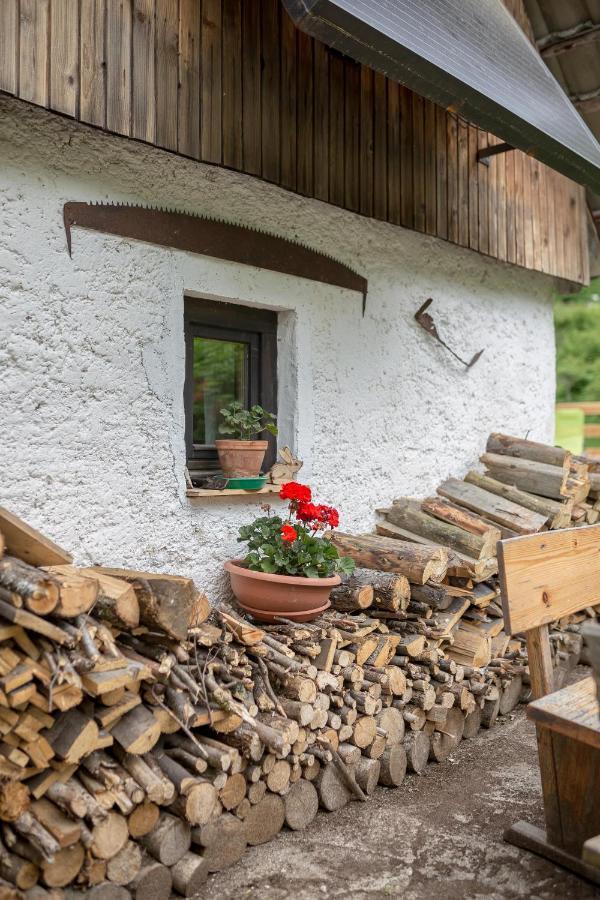 Villa Lizina Hiska House Bohinj Bohinjska Bistrica Exterior foto