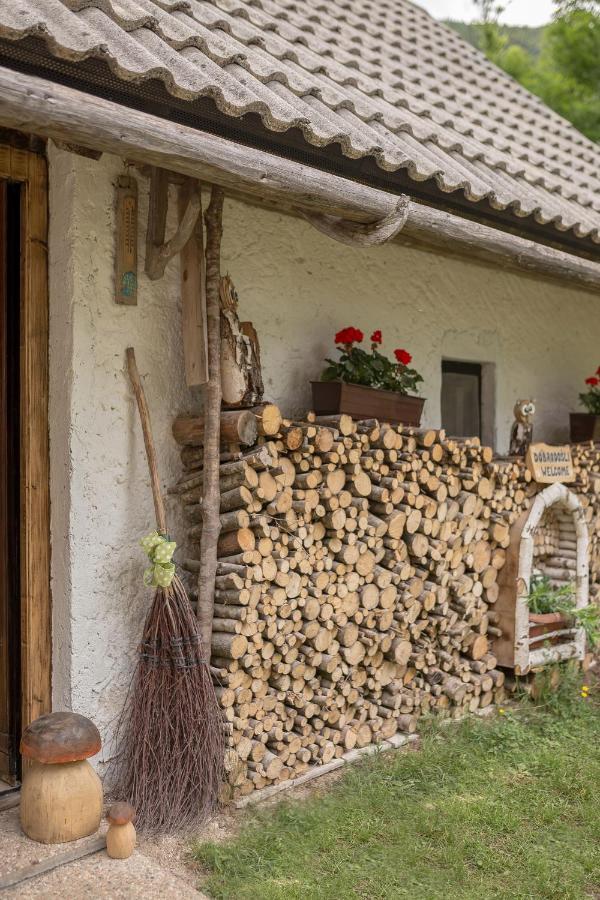 Villa Lizina Hiska House Bohinj Bohinjska Bistrica Exterior foto